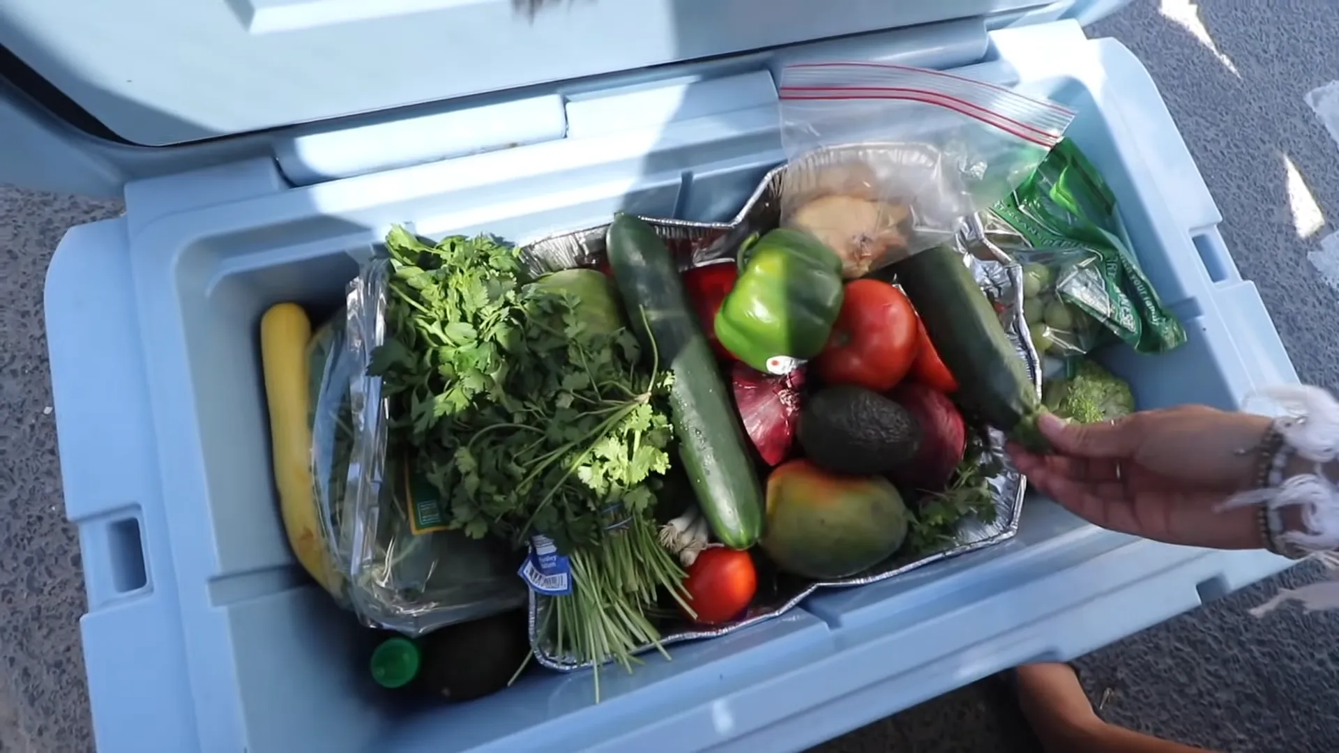 Vue de dessus d’une glacière passive chargée de légumes frais rangés à plat sur un plateau aluminium : coriandre, courgettes, poivron, tomates, avocats, oignons rouges, courge jaune et sachets zippés