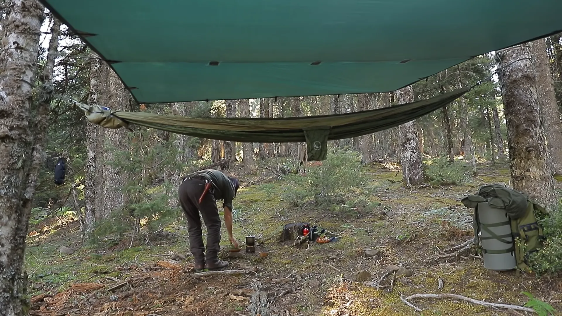 camping sauvage hamac tarp bushcraft nuit forêt